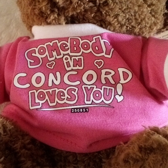 SOMEBODY IN CONCORD LOVES YOU TEDDY BEAR!! - Picture 2 of 6
